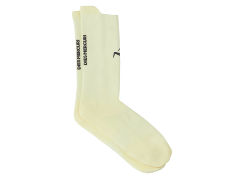 DM003 Lightweight Running Socks x Longão